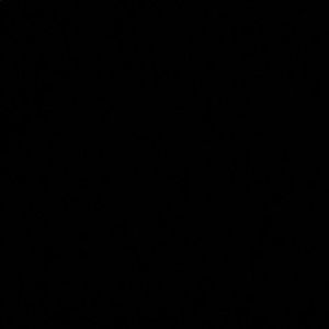 Meet your Posher, Jesse